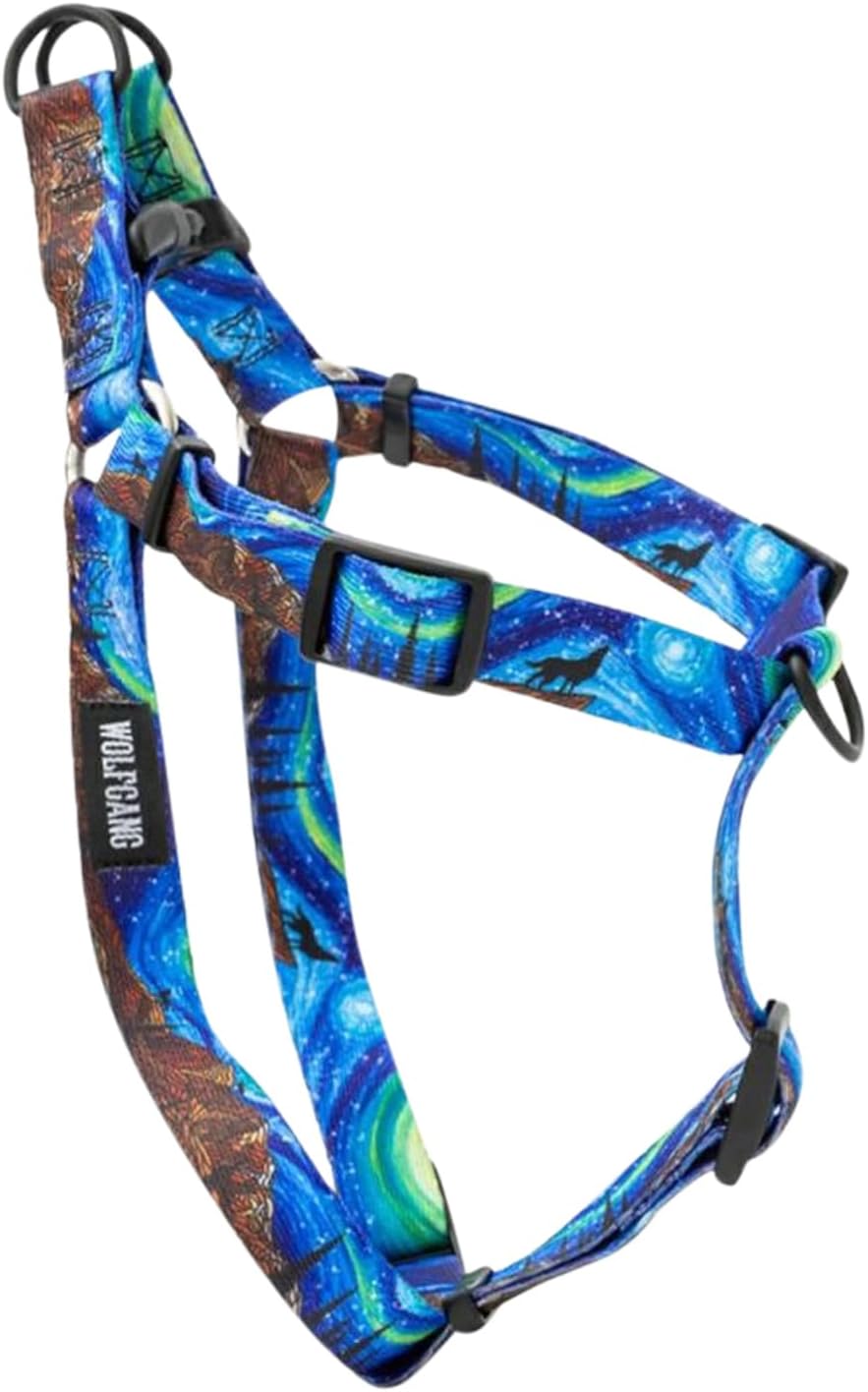 【豪華セット】サイデラマスタリング　Wagnus Belden 84703 豪華セット】サイデラマスタリング Wagnus Belden 84703